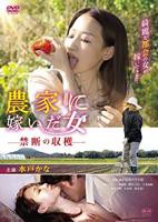 人间中毒完整电影高清在线观看